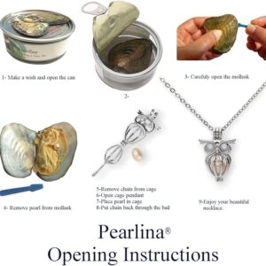 Love Pearl Creations Wish Kit with Pendant Necklace (Owl) / طقم أمنيات مع سلسلة على شكل بومة